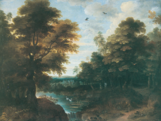 Forest Landscape