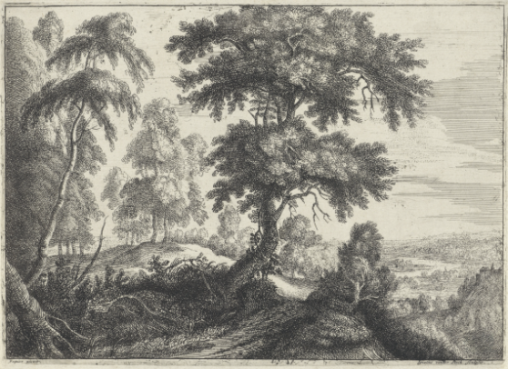 Wooded Landscape with a River