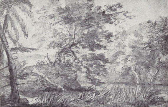 Wooded Landscape
