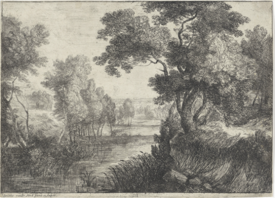 The Marsh (3)