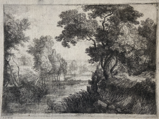 The Marsh (2)