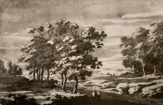 Landscape
