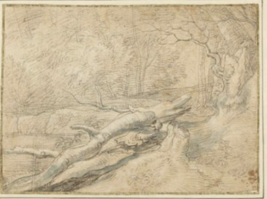 Landscape with a Dead Tree Trunk