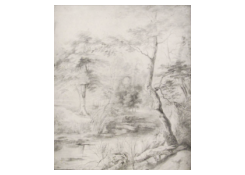 Work 665: View of a Pond Surrounded by Trees