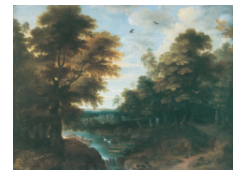 Work 8004: Forest Landscape