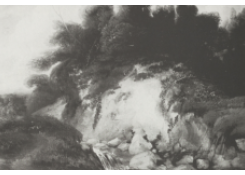 Work 8005: Wooded Landscape with a Small Waterfall