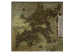 Work 8020: Map of the Sonian Forest 