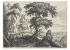 Work 8029: Wooded Landscape with a River