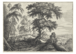 Work 8029: Wooded Landscape with a River