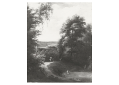 Work 8042: A Wooded Landscape